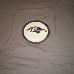 Pottery Barn Teen NFL BALTIMORE RAVENS Patch Duvet Cover